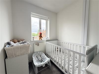 Picture 15
